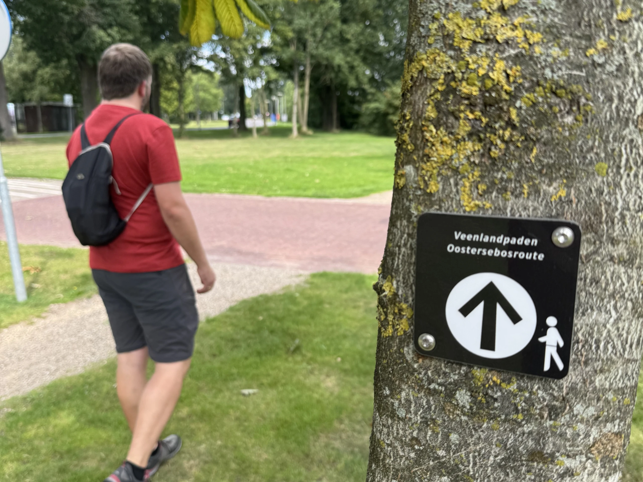 Die Oostersebosroute ist einer der 19 neuen Themenwege im Naturpark Bourtanger Moor - Veenland.jpeg