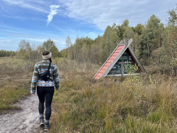 Moorkaten informieren über die Besonderheiten der Landschaft..jpeg Eine Person wandert auf einem Moorweg zu einer kleinen hölzernen Informationstafel im Herbst.