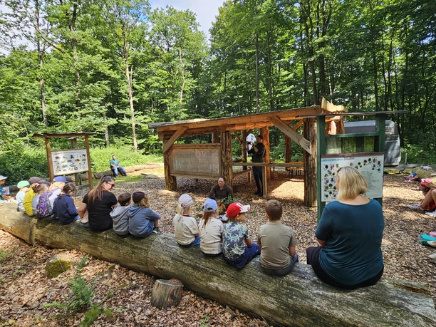 Walderlebnispfad Rehburg-Loccum Wald-Aktion Geschichten von Reineke Fuchs und Dachsi Dachs auf dem Walderelbnispfad