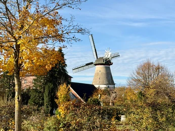 Windmühle Dörverden