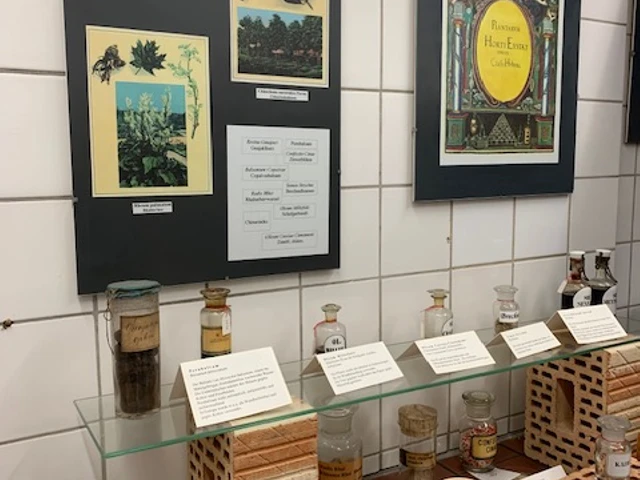 IMG_6891 Mengedoth.jpg