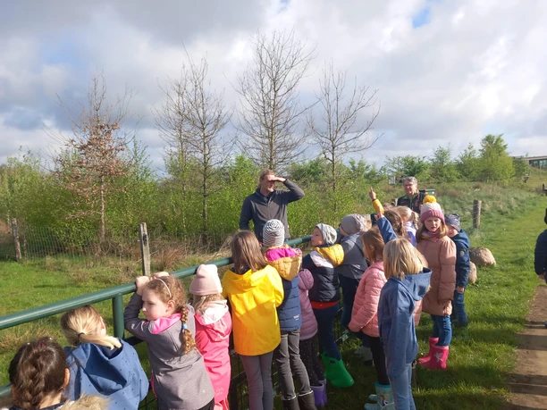 10.04.24_Gebrüder_Grimm_Schule_Osterbrock_Schafstall_Bargerveen (34).jpg