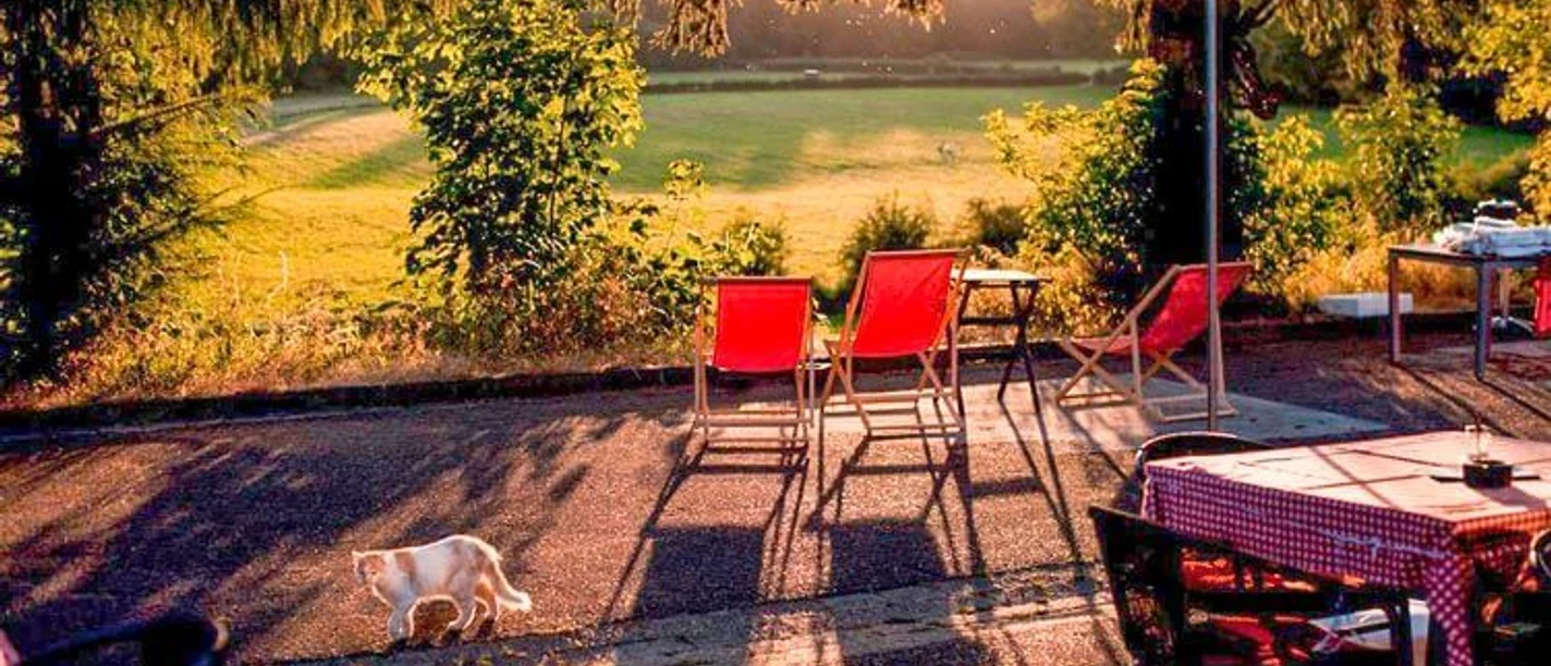 Eine Terrasse mit roten Liegestühlen bei Sonnenuntergang, im Vordergrund eine Katze auf einem Holzboden.