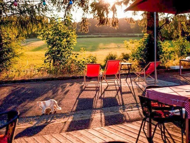 Eine Terrasse mit roten Liegestühlen bei Sonnenuntergang, im Vordergrund eine Katze auf einem Holzboden.