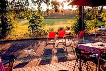 Deutsches Zollhaus_Terrasse (c) KuKuK e.V..jpg Eine Terrasse mit roten Liegestühlen bei Sonnenuntergang, im Vordergrund eine Katze auf einem Holzboden.