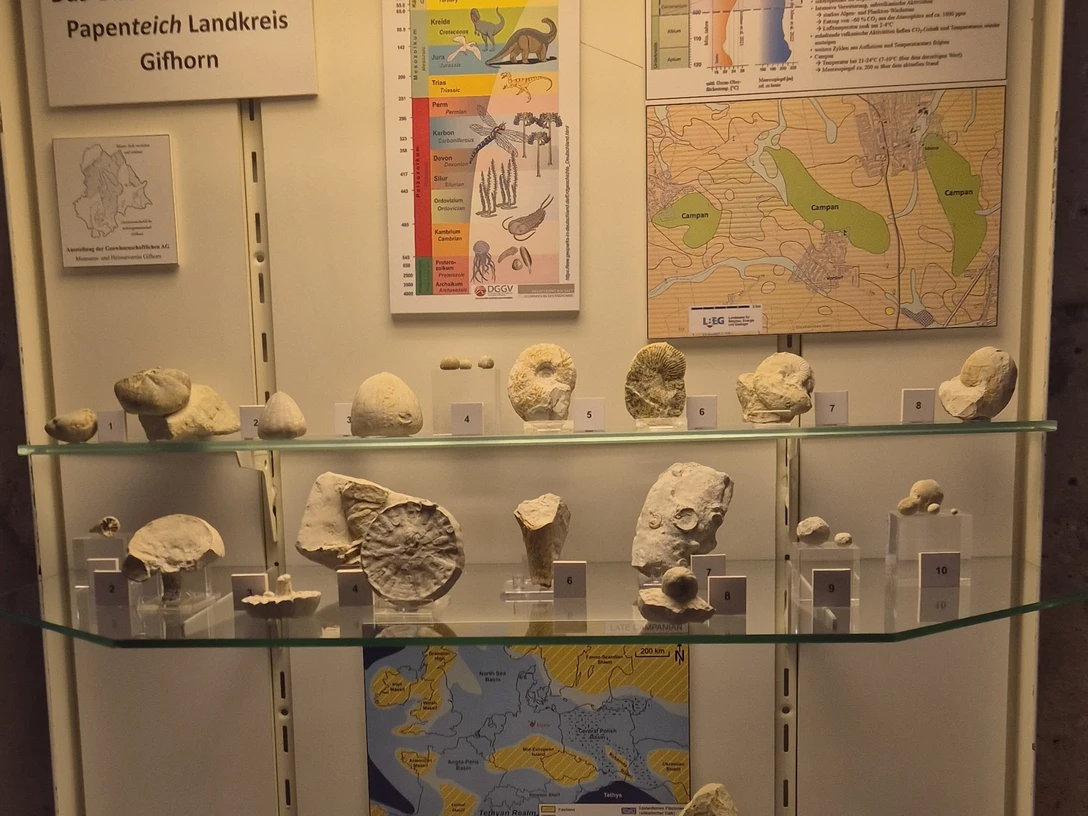 4.) Vitrine 10 Jahre GeoAG.jpg