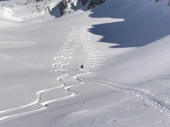 Powderabfahrt vom Bächenstock