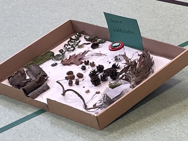 Die Schüler haben ihre Waldschätze zusammengetragen.jpeg