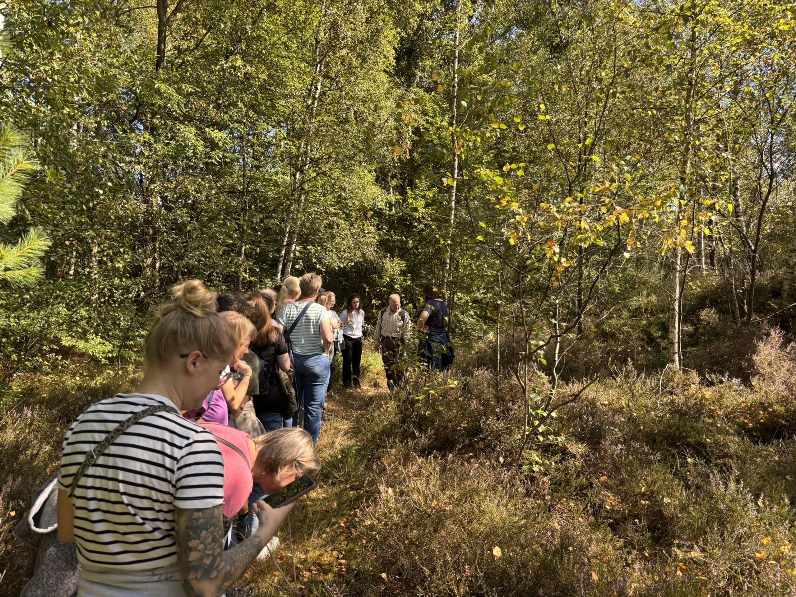 Am Wegesrand gibt es so viel zu entdecken..JPEG