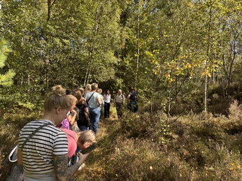 Am Wegesrand gibt es so viel zu entdecken..JPEG