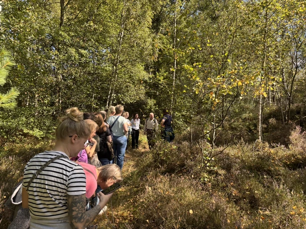 Am Wegesrand gibt es so viel zu entdecken..JPEG