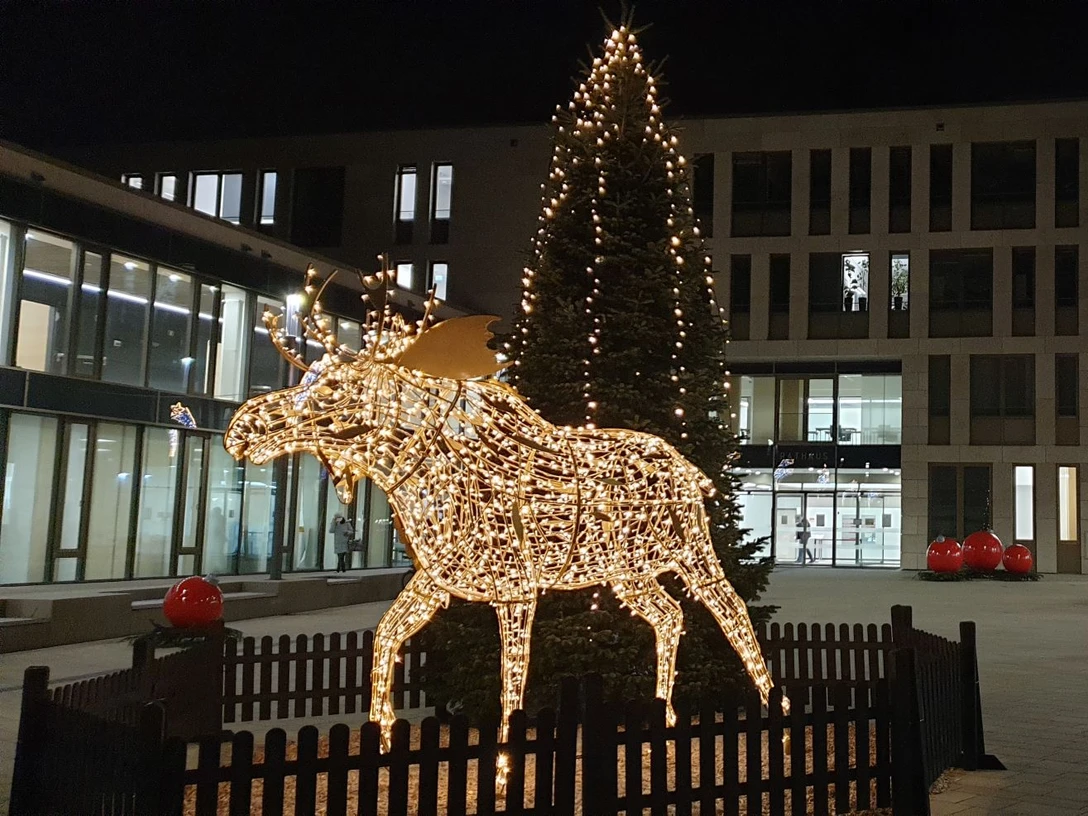 Henry der Ratinger Elch