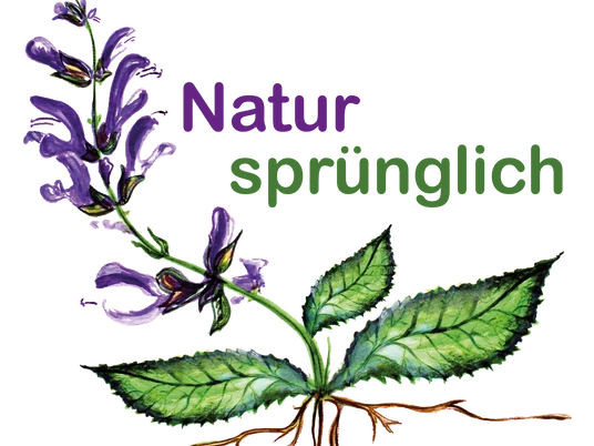 Logo Naturspruenglich transparent