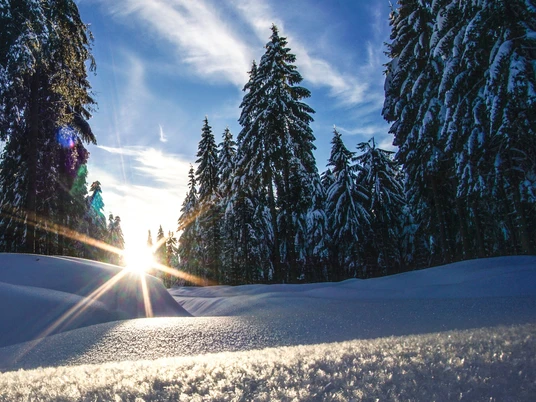 Winter Sonnenaufgang Kammloipe Mühlleithen