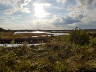 Moorlandschaft