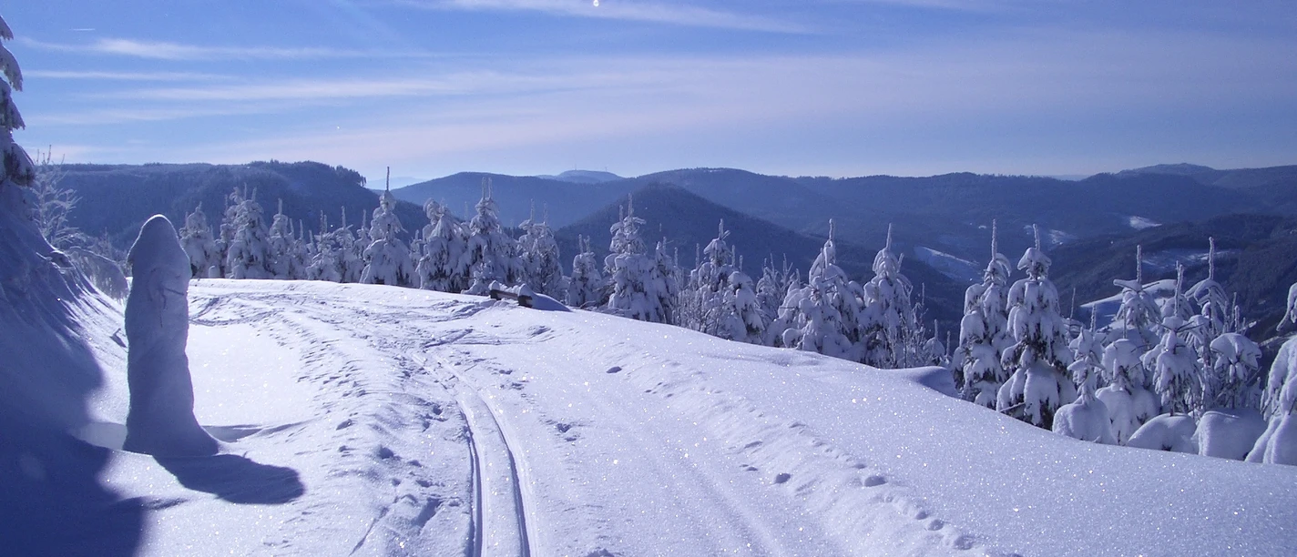 Winterwandern in Bad Peterstal-Griesbach