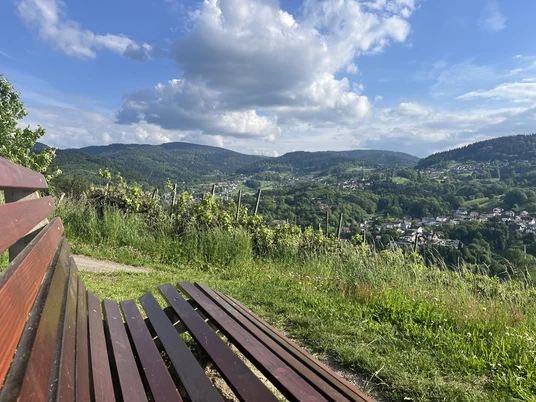 Emil_Kern_Hütte_Büchelbach2_NM