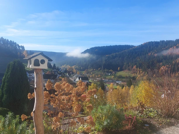 Schöne-Zeiten-Baiersbronn_Ausblick Herbst1