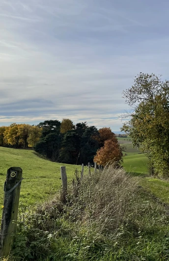 Unterwegs auf dem Birkenhof Rundweg 1