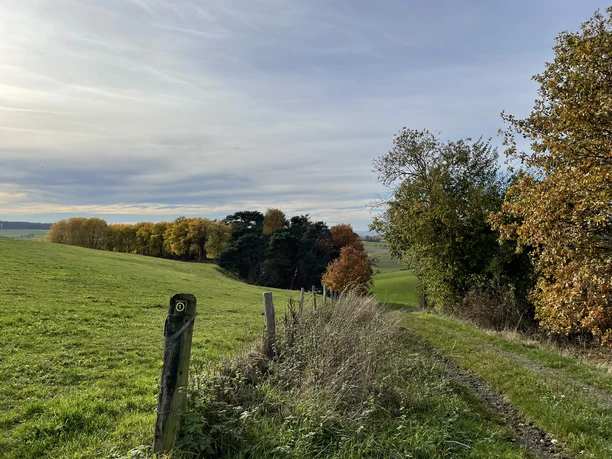 Unterwegs auf dem Birkenhof Rundweg 1