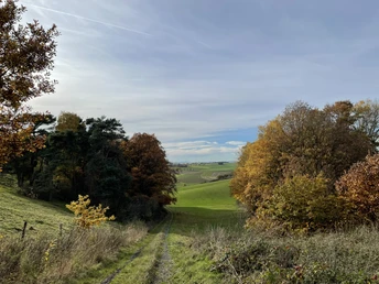 Herbstliche Tour auf dem Birkenhof Rundweg 1