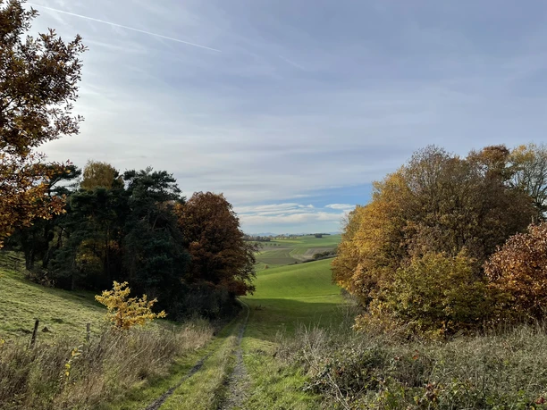Herbstliche Tour auf dem Birkenhof Rundweg 1