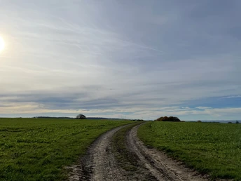 Durch Feld und Flur bei Dainrode