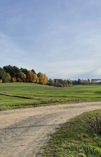 Wegkreuzung am Birkenhof Rundweg 2