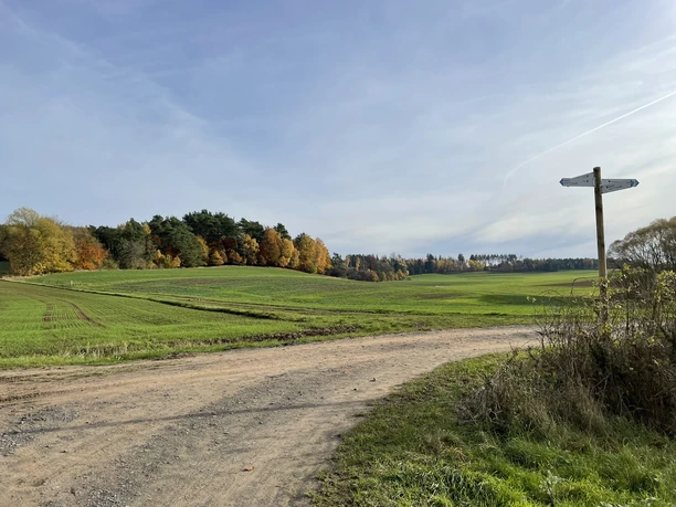 Wegkreuzung am Birkenhof Rundweg 2