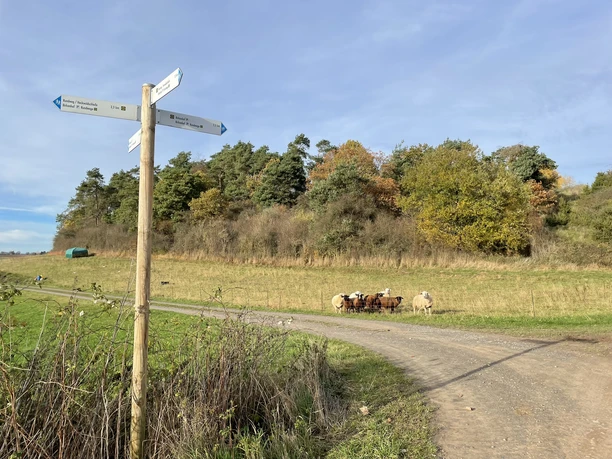 Unterwegs auf dem Birkenhof Rundweg 2