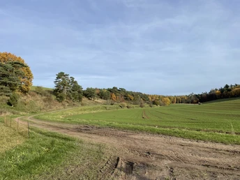 Herbstliche Wanderung auf dem Birkenhof Rundweg 2