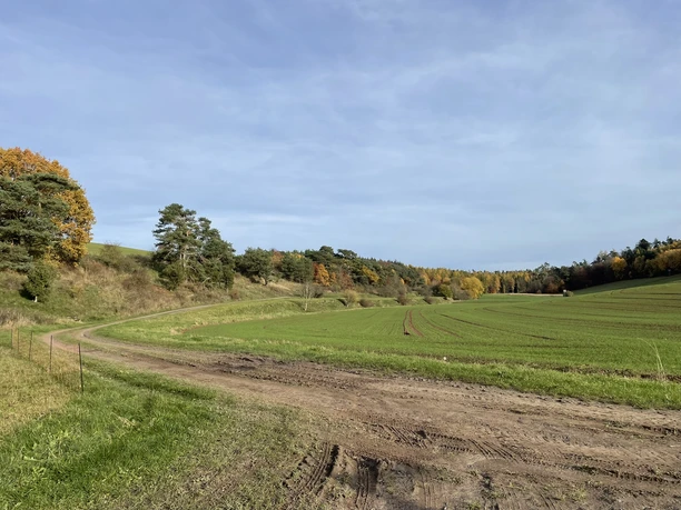 Herbstliche Wanderung auf dem Birkenhof Rundweg 2