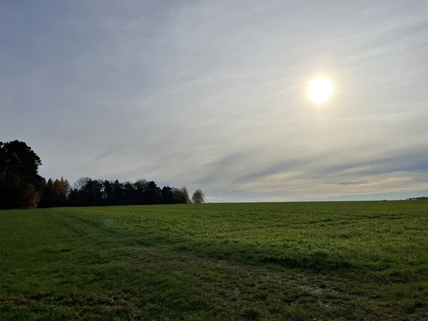 Felder bei Dainrode