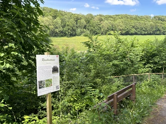 Baum- und Obstlehrpfad | Lichtenau-Ebbinghausen