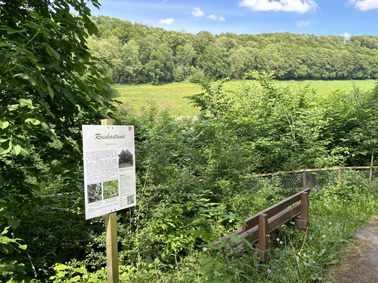 Baum- und Obstlehrpfad | Lichtenau-Ebbinghausen