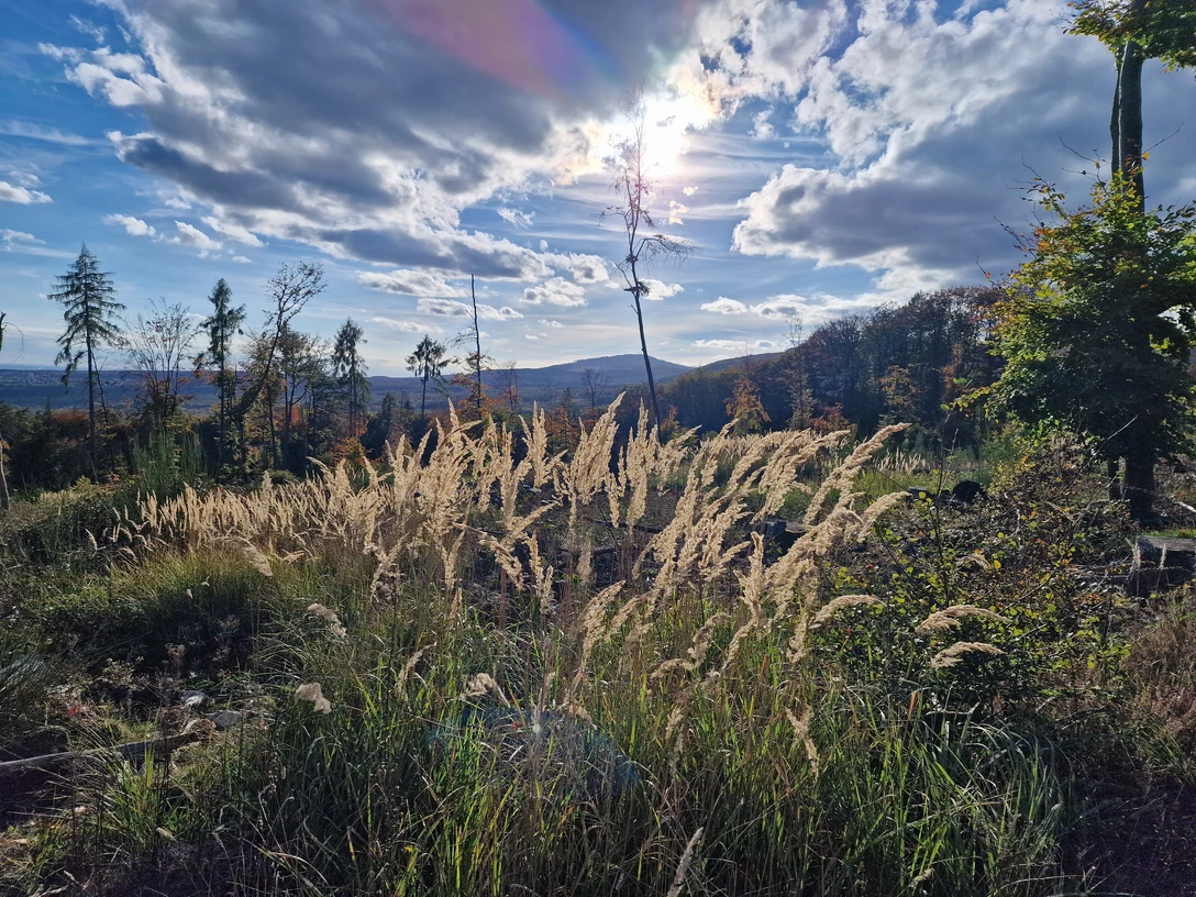 Gickelsburg im November