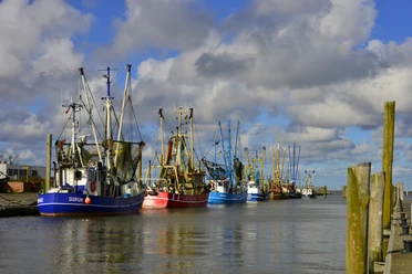 Kutterhafen Dorum-Neufeld