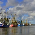 Kutterhafen Dorum-Neufeld