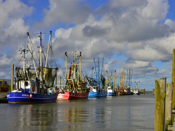 Kutterhafen Dorum-Neufeld