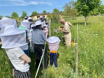 Rundgang Kramerhonig