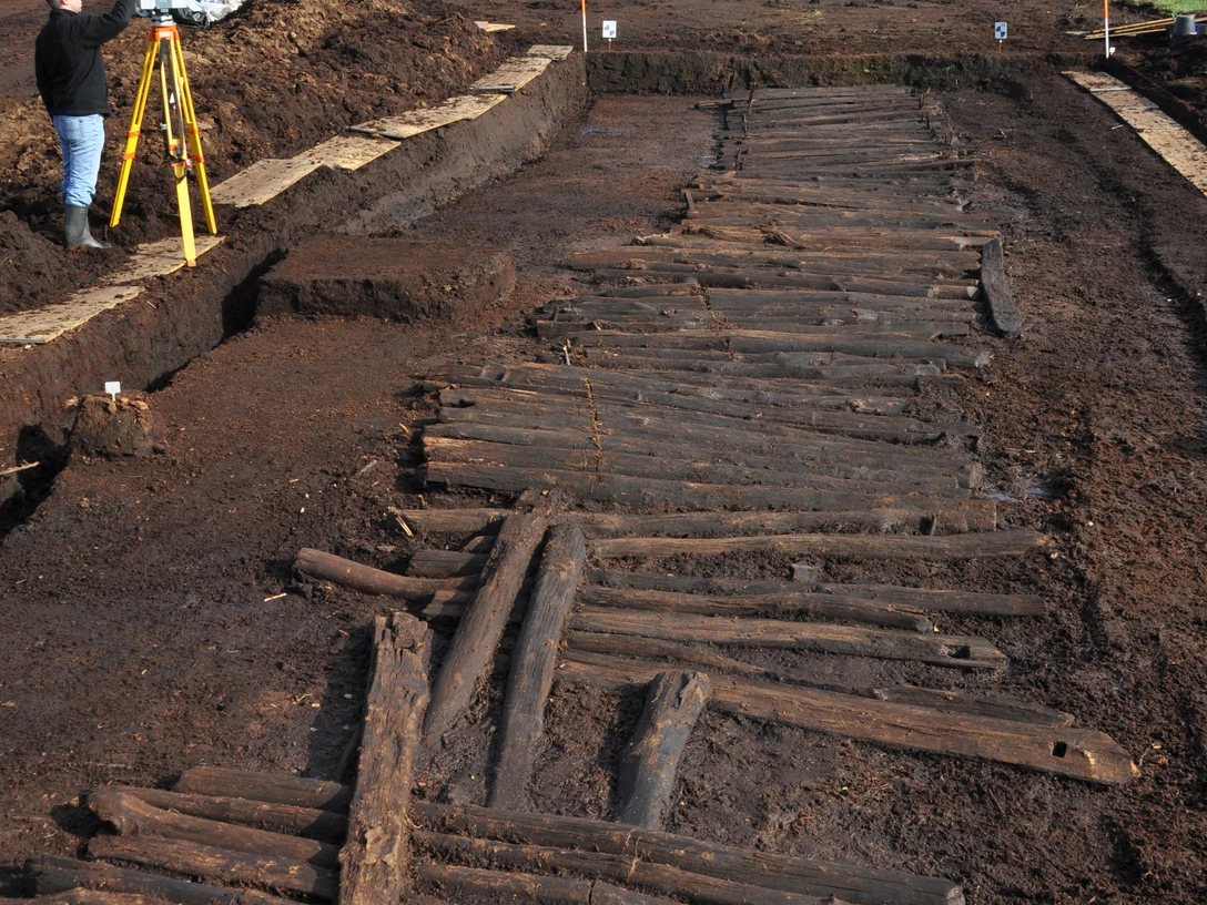 Das kulturelle Erbe im Moor Archäologische Ausgrabung im Moor mit freigelegtem prähistorischem Bohlenweg und Forscher bei Vermessung