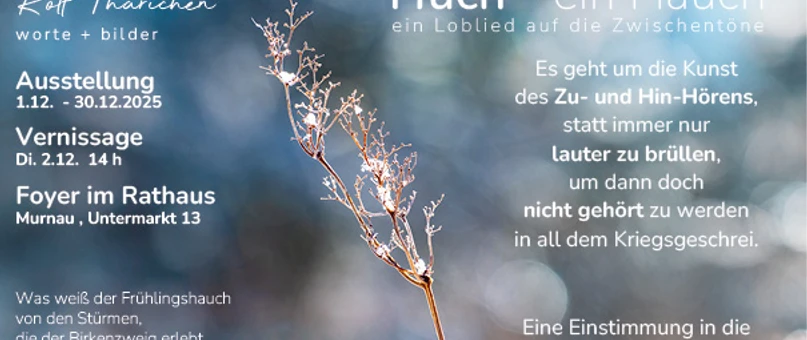 Huch-ein Hauch_Vernissage.jpg