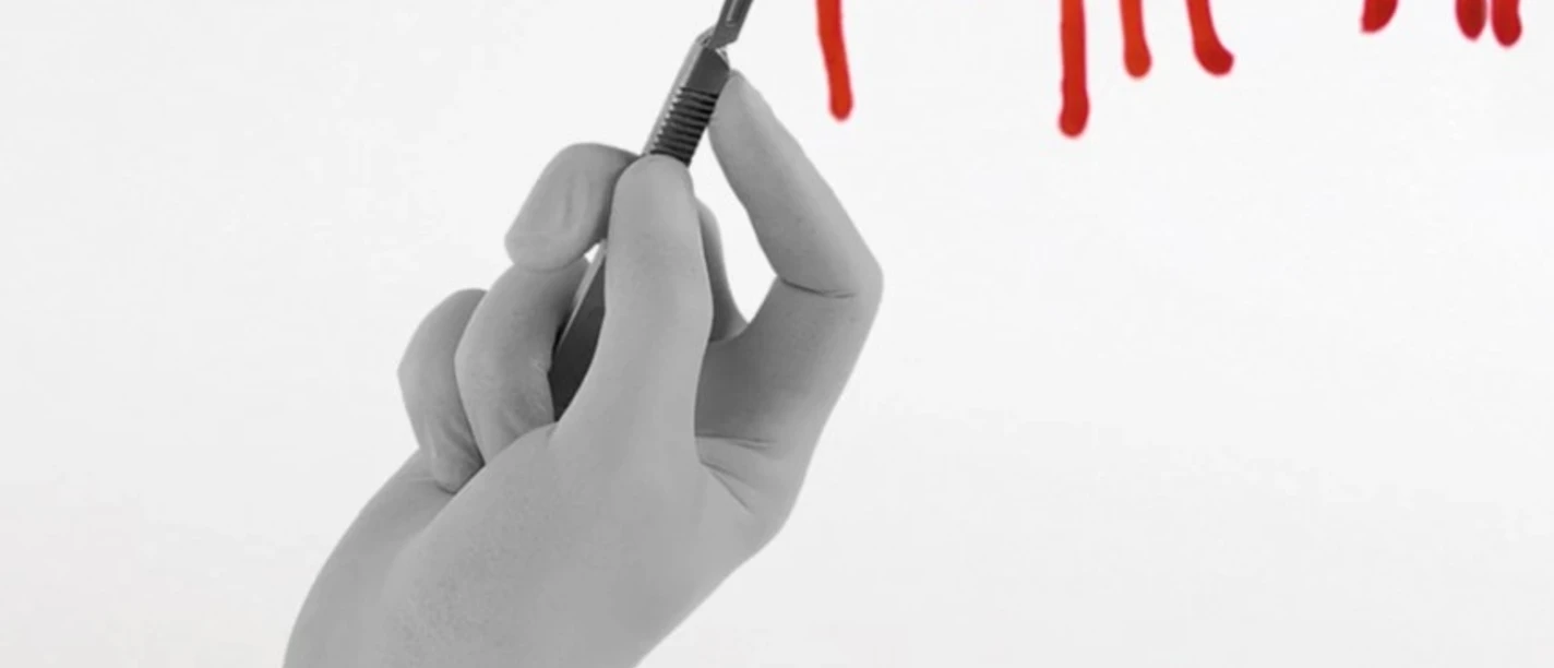 2026 03 28 DinnerKrimi