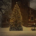 christmas-tree-6895765_1280.jpg