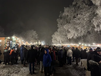 Winterliches Märchen im Taunus