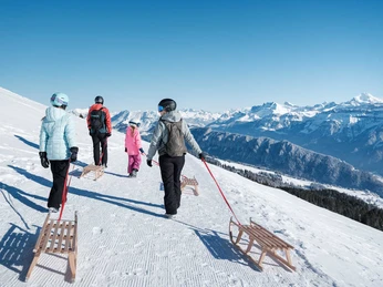 niederhorn-winter-schnee-gaeste-schlitten.jpg