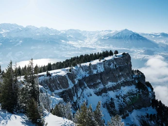 niederhorn-winter-sonne-schnee-baeume-aussicht.jpg