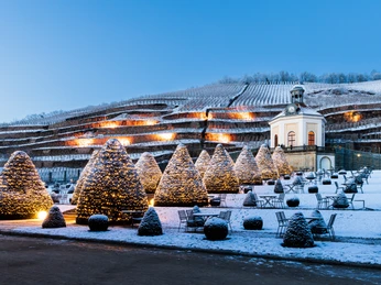 Wackerbarth_Radebeul_2022_Daniel Bahrmann (2).jpg