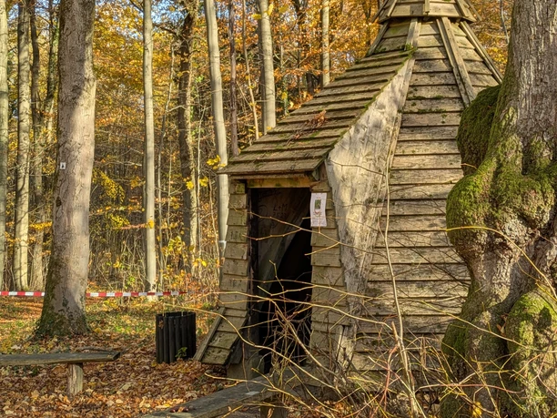 Herfstbos met klein houten afdak, bebladerde grond bedekt met kleurrijke bladeren, zonlicht schijnt door de takken