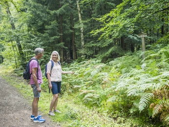 Ein Paar auf dem Waldlehrpfad Buchwedel